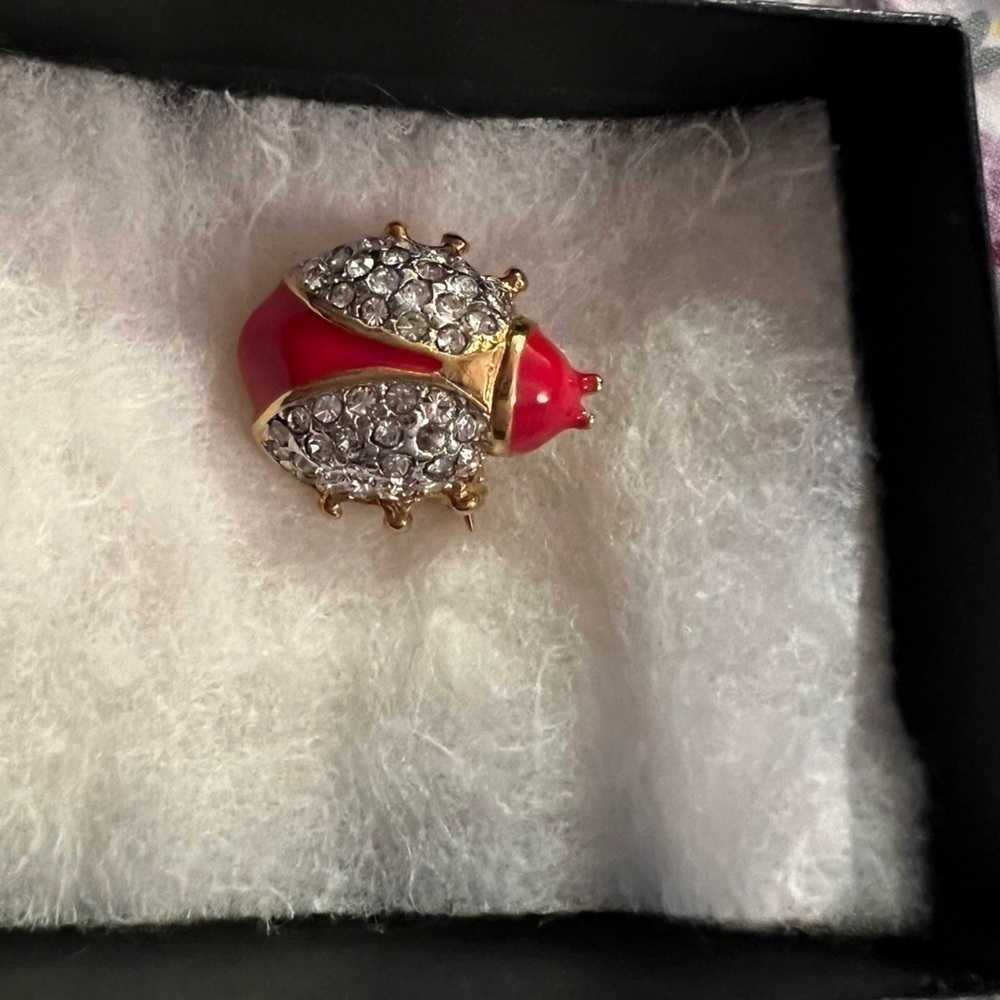 VINTAGE Van Doran ladybug brooch, red enamel and rhinestone, adorable!